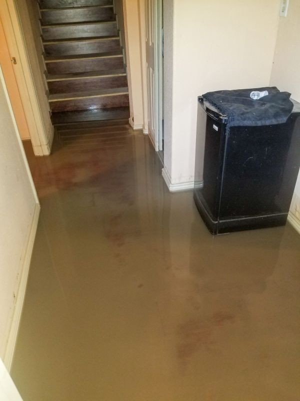 Crawlspace Water Restoration detail
