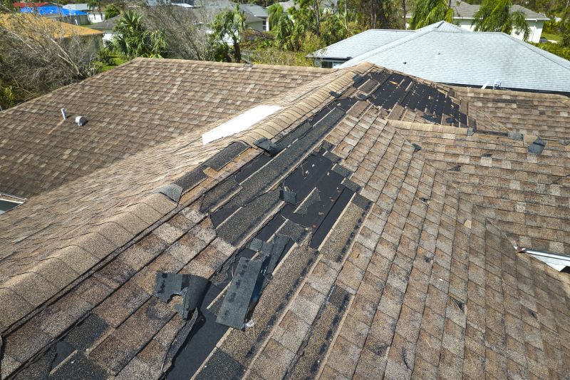 Roof Repair Specialists