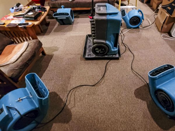 Flood Damage Recovery in Freehold