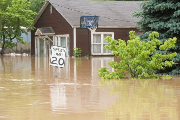 Storm Restoration Service in Freehold