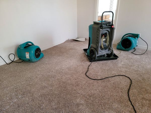 Flood Damage Repair in Freehold