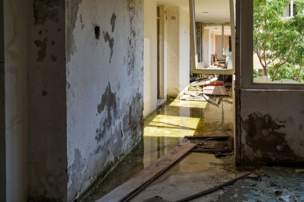 Cost of Water Removal Service in Freehold