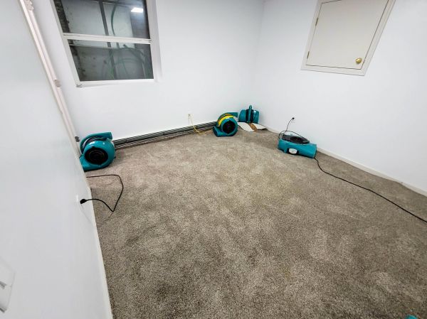 Flood Restoration Service in Freehold