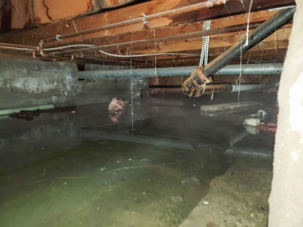 Water Mitigation Service in Freehold
