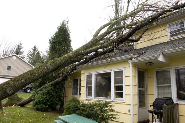 Hurricane Damage Repair in Freehold